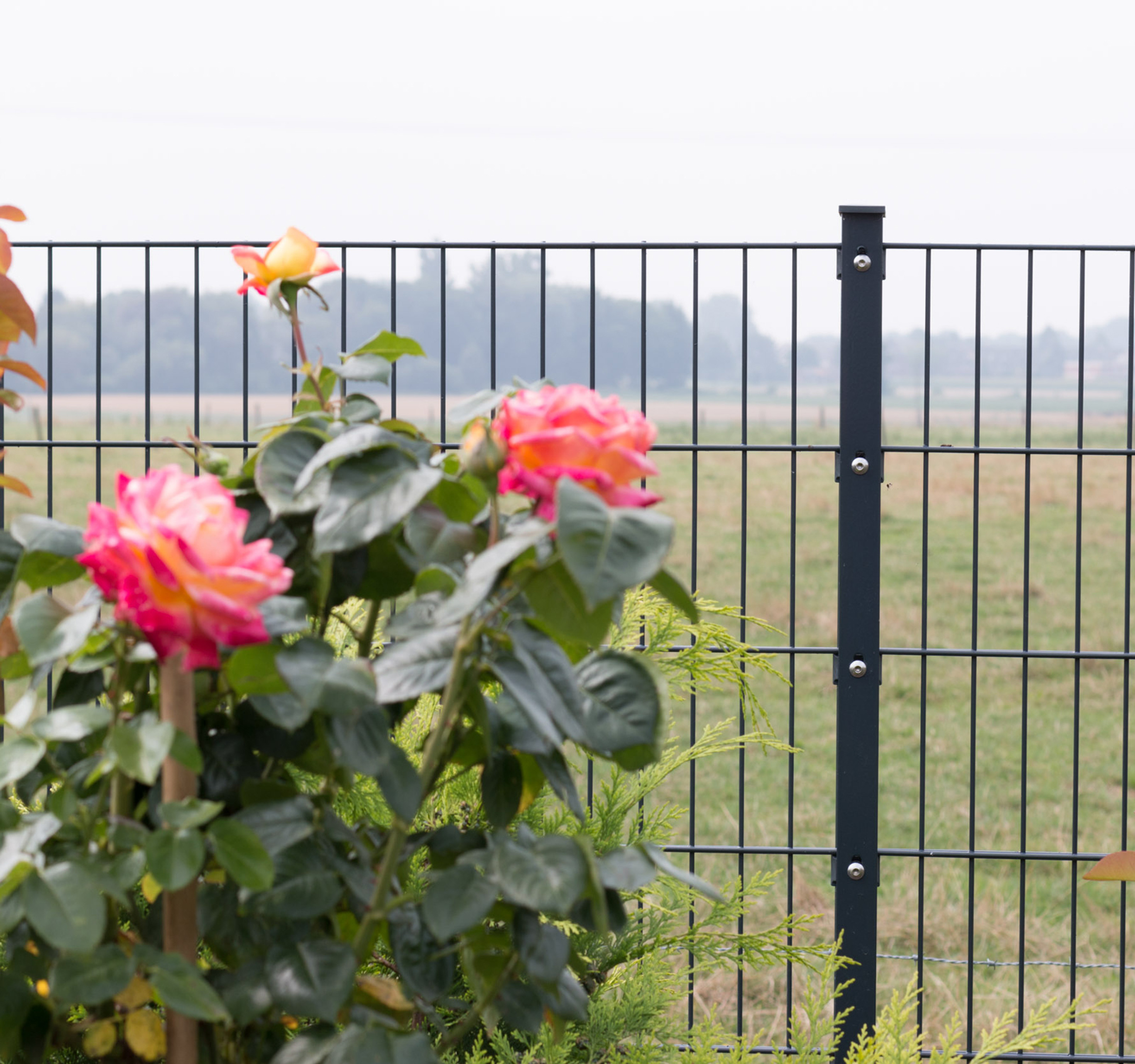 Doppelstabmatten Set 3x6 Meter - Anthrazit Verzinkt & Pulverbeschichtet