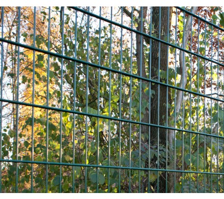 Doppelstabgittermatte 8/6/8 (grün) -143cm