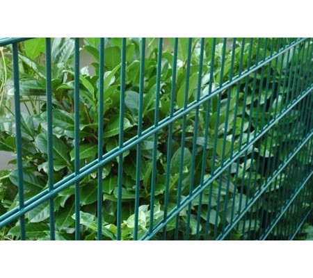 matte Grün RAL 6005