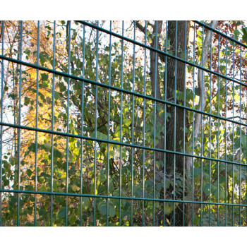 Doppelstabgittermatte 8/6/8 (grün) -163cm